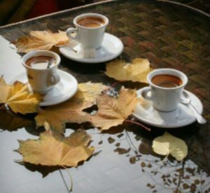 Fall Leaves Coffee